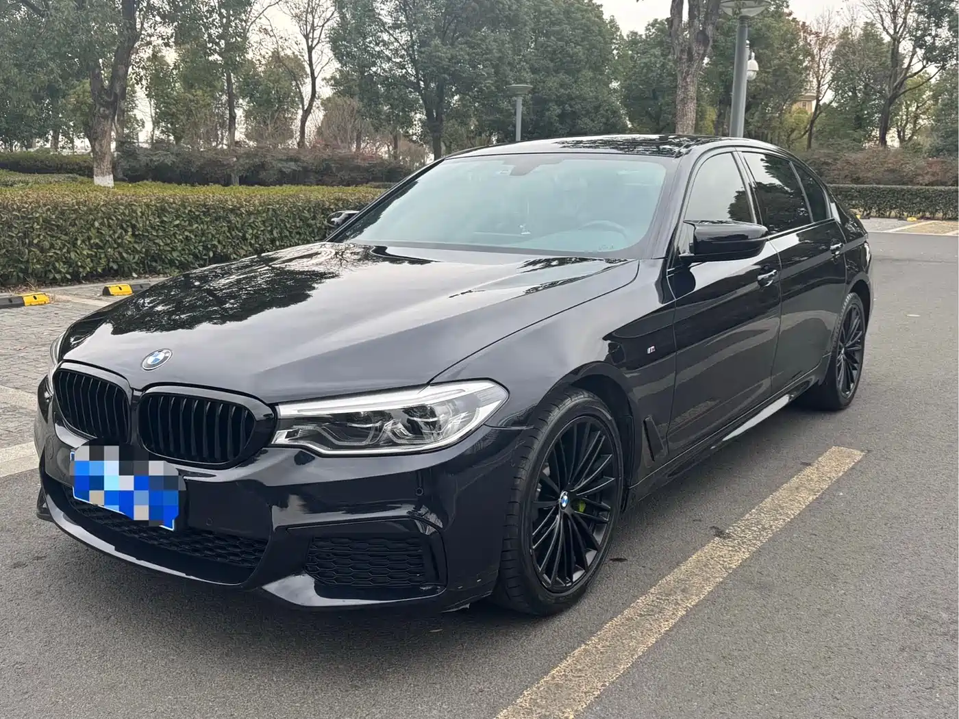BMW 5 Series 2020 530Li Leading Luxury Package
