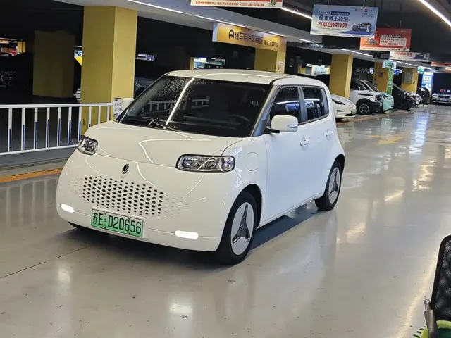 Ora White Cat 2020 360km Luxury Model