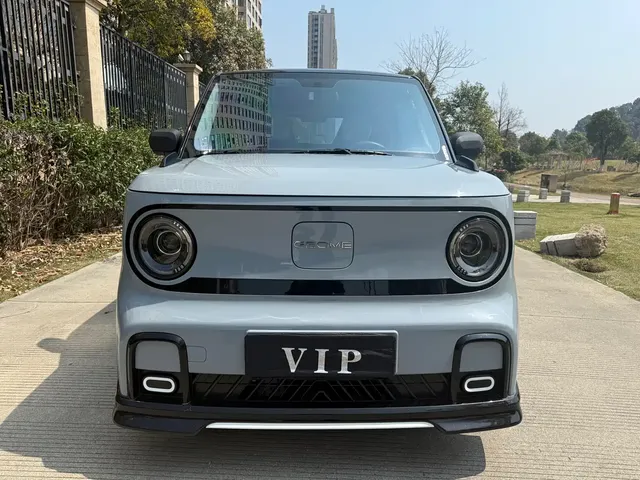 Geely Galaxy Panda 2025 Model Year 210km Panda Kart