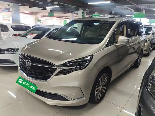 Buick GL8 2022 ES Landmark 653T Premium