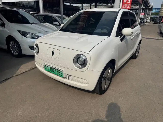 Ora Black Cat 2021 301km Pet Edition