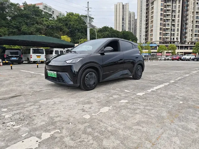 BYD Seagull 2024 Glory Edition 305km Vitality Edition