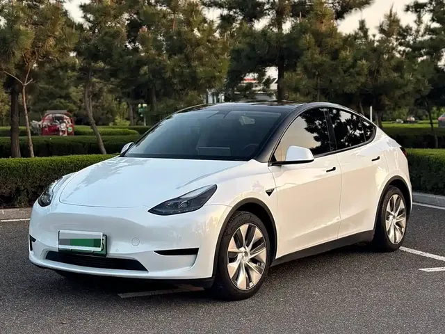 Tesla Model Y 2022 Rear-Wheel Drive Version