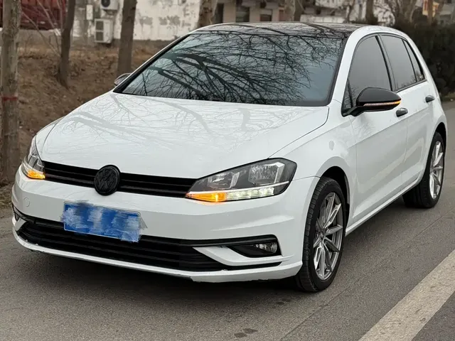 Volkswagen Golf 2019 280TSI DSG Comfort (China V)