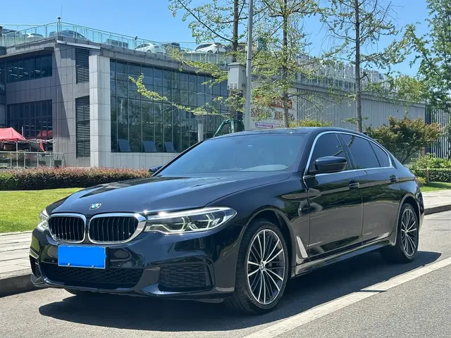 BMW 5 Series 2020 530Li Leading M Sport Package