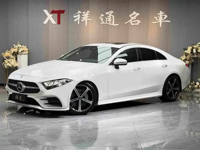 Mercedes-Benz CLS 2020 CLS 300 Luxury