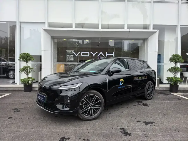 Voyah Auto Voyah Zhiyin 2025 Base