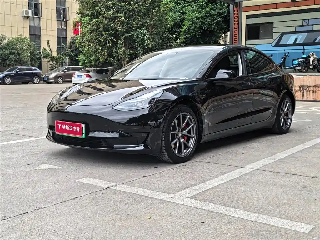 Tesla Model 3 2022 Model Rear-Wheel Drive Version