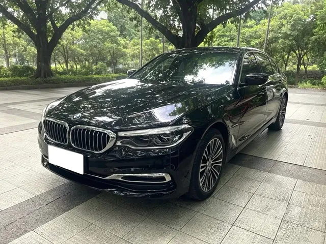 BMW 5 Series 2019 530Li Premium Luxury Package