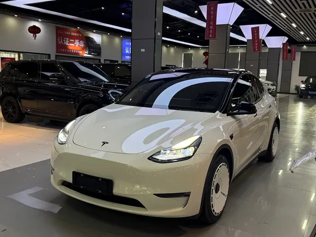 Tesla Model Y 2022 Rear-Wheel Drive Version