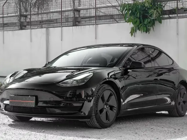 Tesla Model 3 2022 Model Rear-Wheel Drive Version