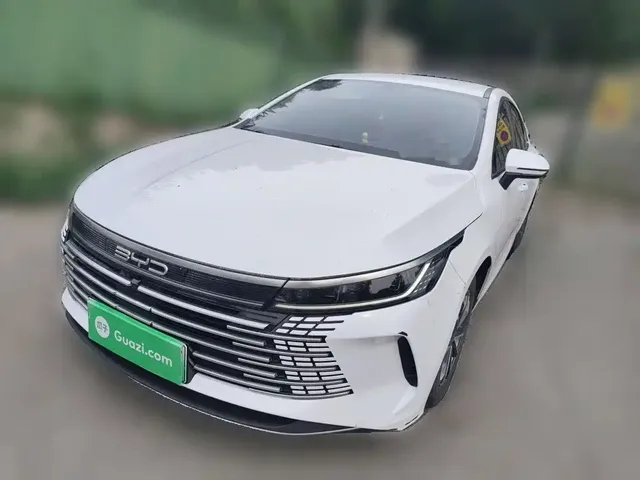 BYD Destroyer 05 2024 Glory Edition DM-i 55KM Luxury