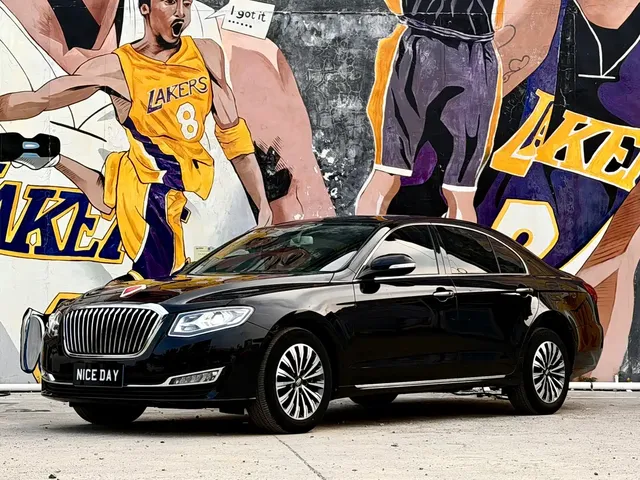 Hongqi H7 2019 2.0T Elite Edition