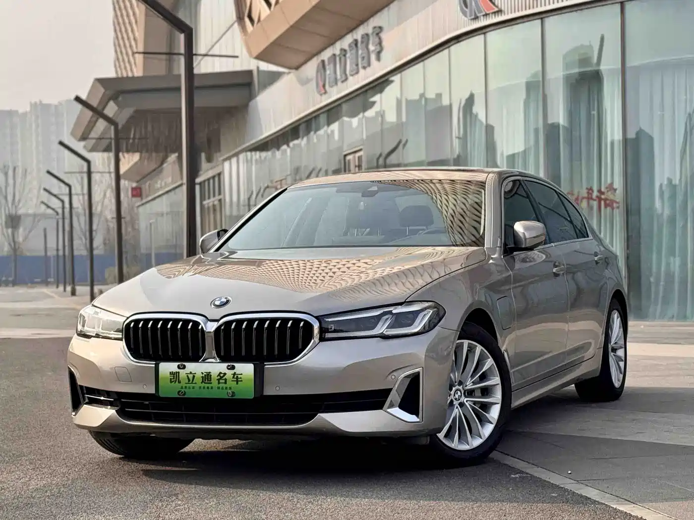 BMW 5 Series New Energy 2021 535Le Luxury Package