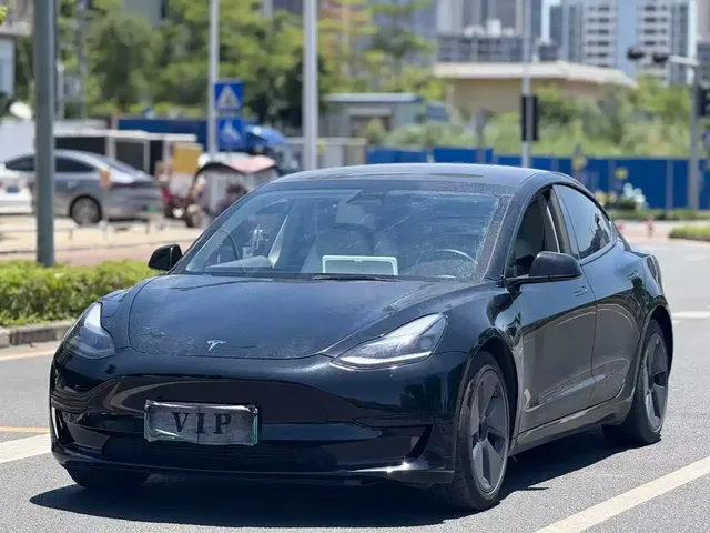 Tesla Model 3 2021 Facelift Standard Range RWD Upgrade 3D1