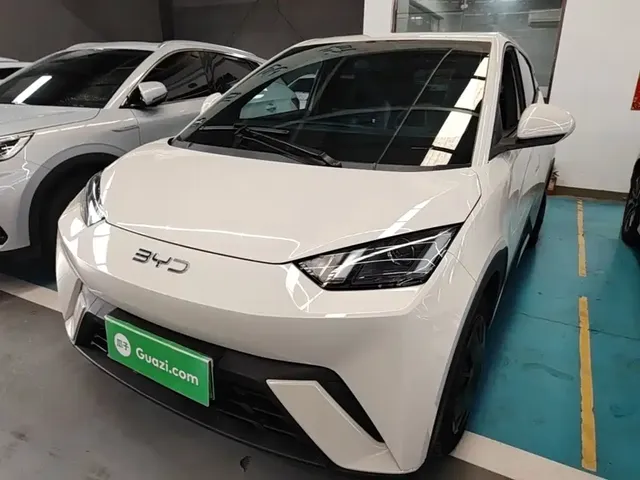 BYD Seagull 2024 Glory Edition 305km Vitality Edition
