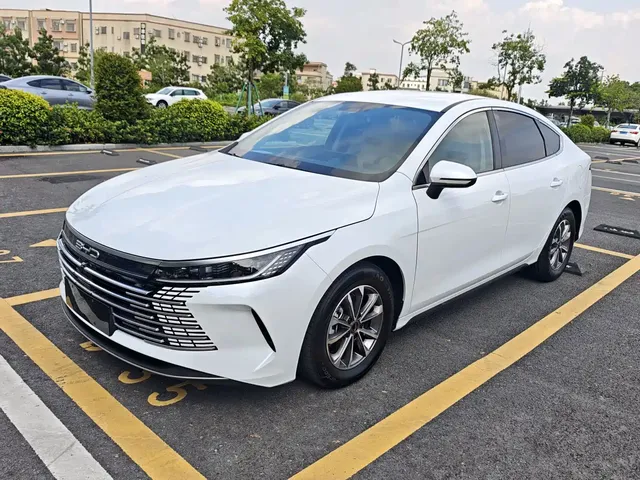 BYD Destroyer 05 2024 Glory Edition DM-i 55KM Luxury