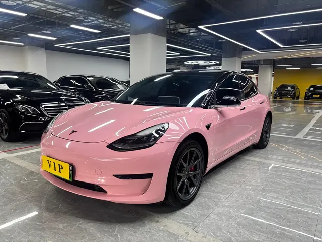 Tesla Model 3 2019 Standard Range Rear-Wheel Drive Upgrade