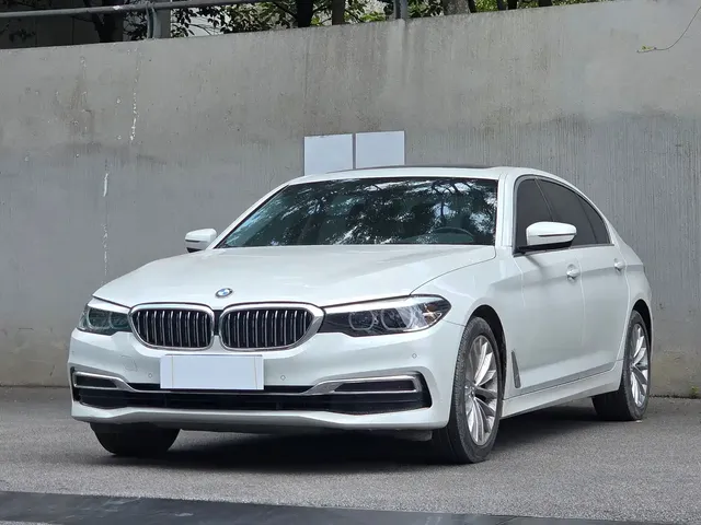 BMW 5 Series 2020 525Li Luxury Package