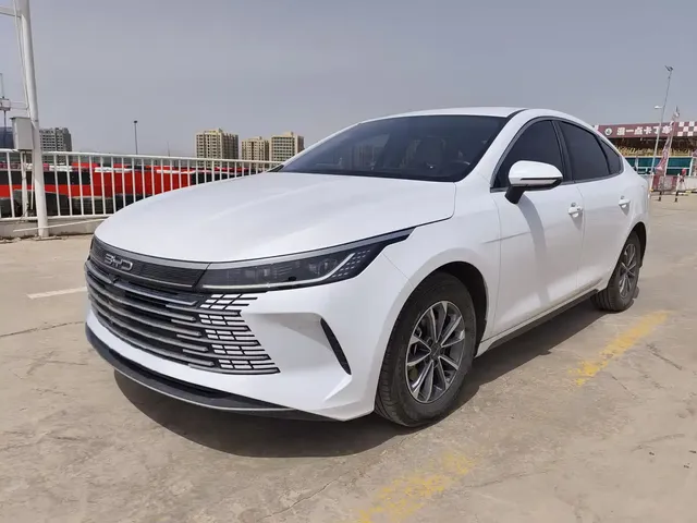 BYD Destroyer 05 2024 Glory Edition DM-i 55KM Luxury