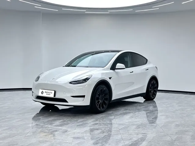Tesla Model Y 2022 Rear-Wheel Drive Version