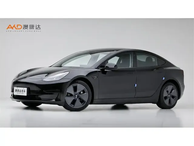 Tesla Model 3 2022 Model Rear-Wheel Drive Version