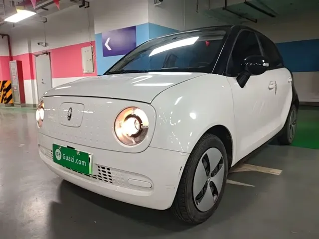 Ora Black Cat 2021 301km Pet Edition