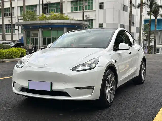 Tesla Model Y 2021 Standard Range Rear-Wheel Drive