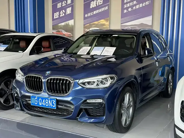 BMW X3 2018 xDrive30i Leading M Sport Package China V