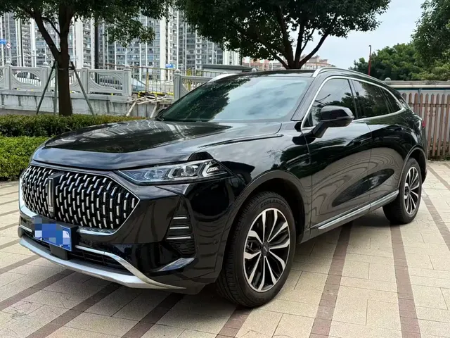 WEY Mocha 2021 2.0T 2WD Extra Rich Edition
