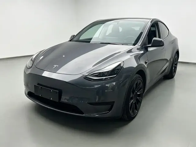Tesla Model Y 2022 Rear-Wheel Drive Version