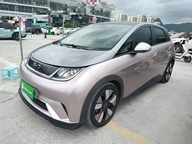 BYD Dolphin 2021 401km Knight Edition