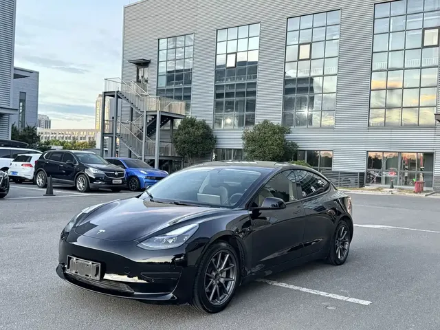 Tesla Model 3 2020 Facelift Standard Range RWD Upgrade