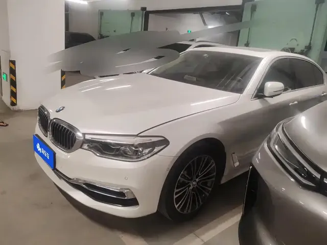 BMW 5 Series 2019 530Li Premium Luxury Package