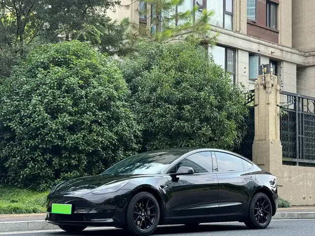 Tesla Model 3 2022 Model Rear-Wheel Drive Version