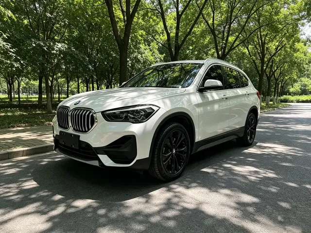 BMW X1 2021 sDrive20Li Exclusive