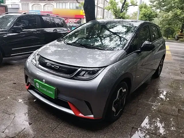 BYD Dolphin 2021 Model 405km Fashion Edition