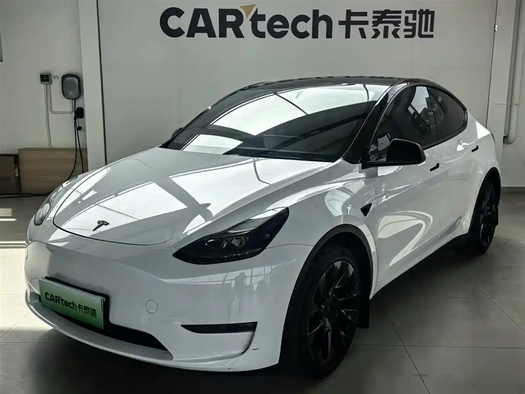 Tesla Model Y 2021 Standard Range Rear-Wheel Drive