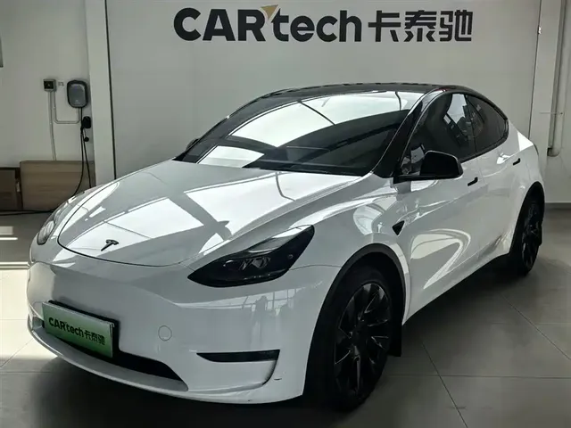 Tesla Model Y 2021 Standard Range Rear-Wheel Drive
