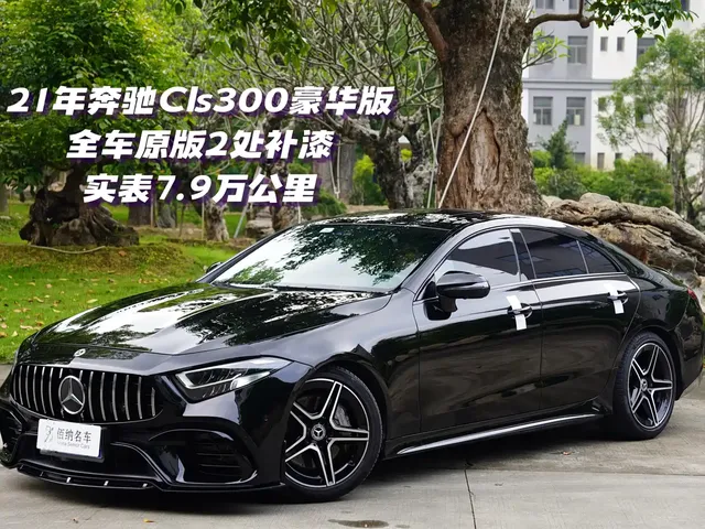 Mercedes-Benz CLS 2021 CLS 300 Luxury