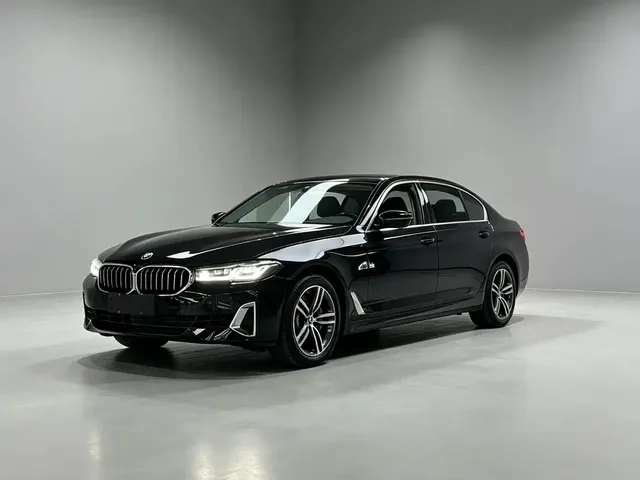 BMW 5 Series 2021 530Li Leading Luxury Package