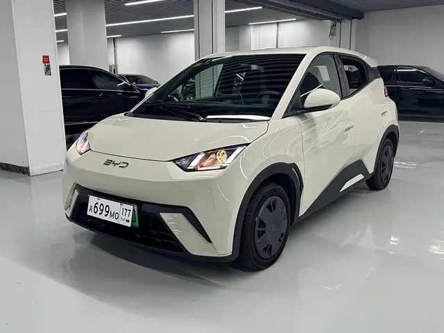 BYD Seagull 2025 305km Vitality