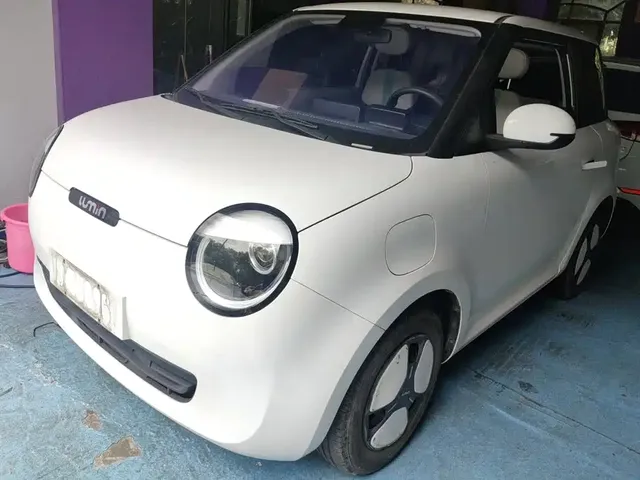 Changan Qiyuan Changan Lumin 2022 210km Sweet Edition