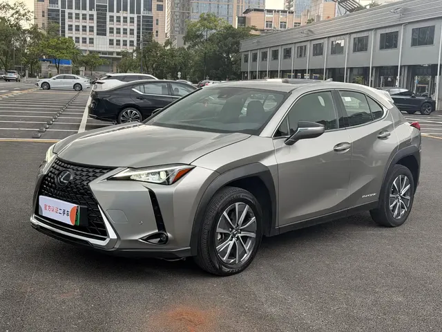 Lexus UX Electric 2020 300e Pure Yue Edition