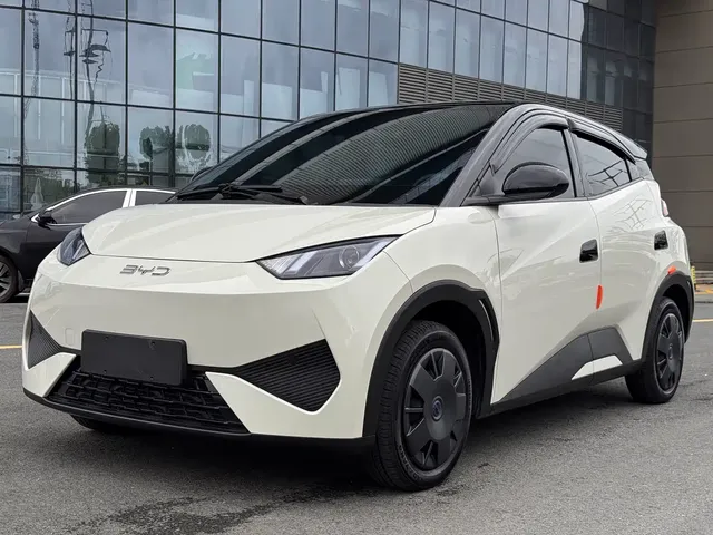 BYD Seagull 2024 Glory Edition 305km Vitality Edition