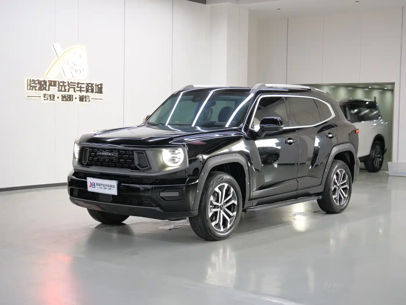 Haval Da Gou 2nd Gen 2023 2.0T 2WD Trendy Off-road Edition Plus