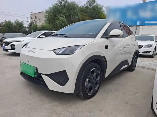 BYD Seagull 2025 Smart Drive Edition 305km Freedom Version