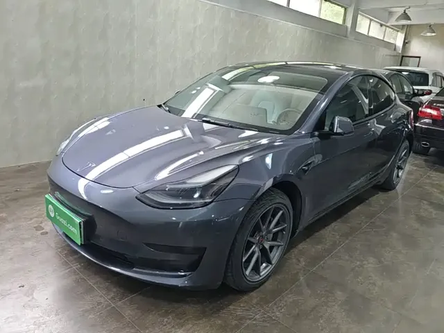 Tesla Model 3 2022 Model Rear-Wheel Drive Version