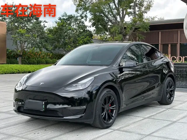 Tesla Model Y 2021 Standard Range Rear-Wheel Drive