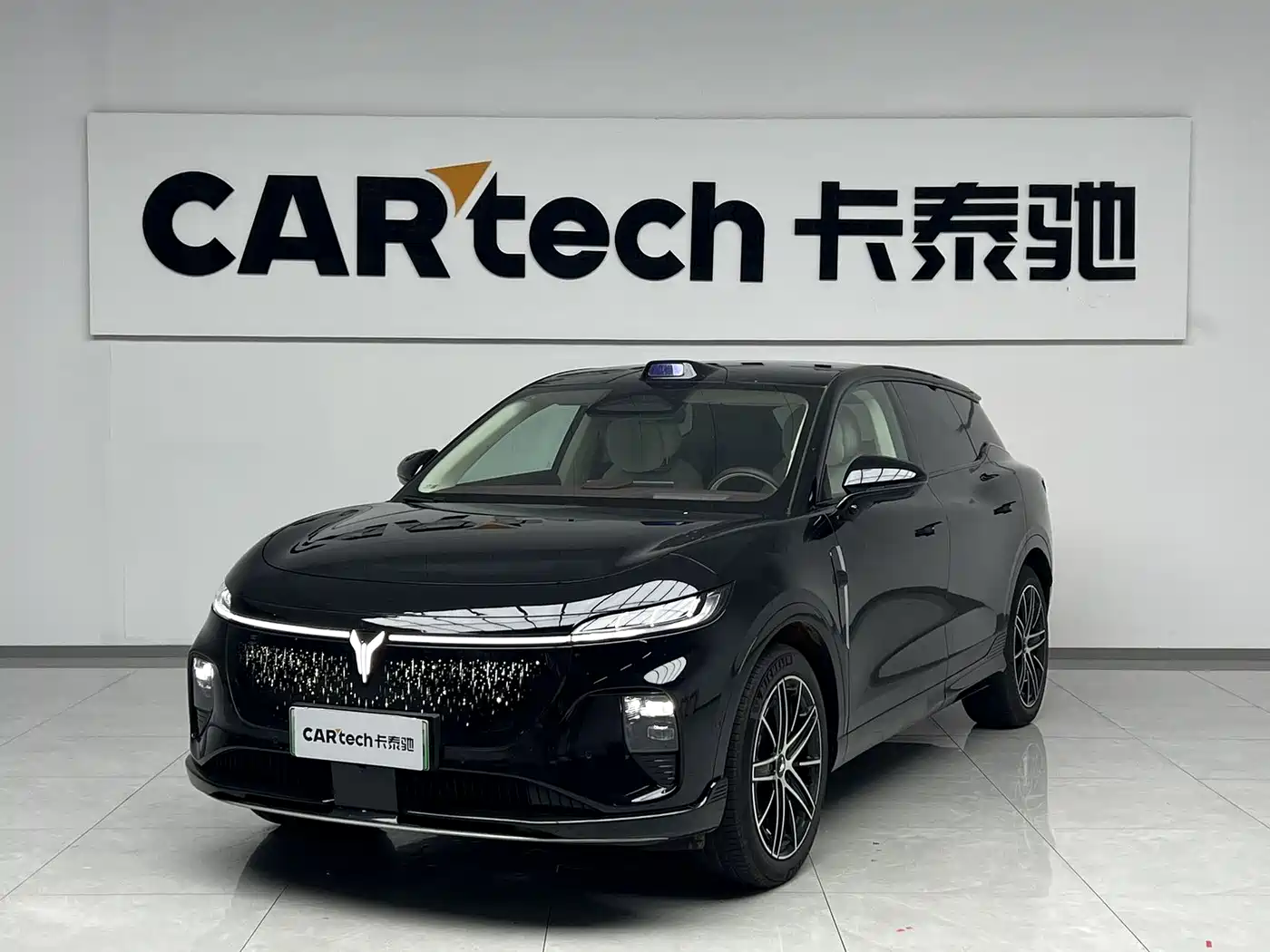 Voyah Auto Voyah Zhiyin 2025 Base